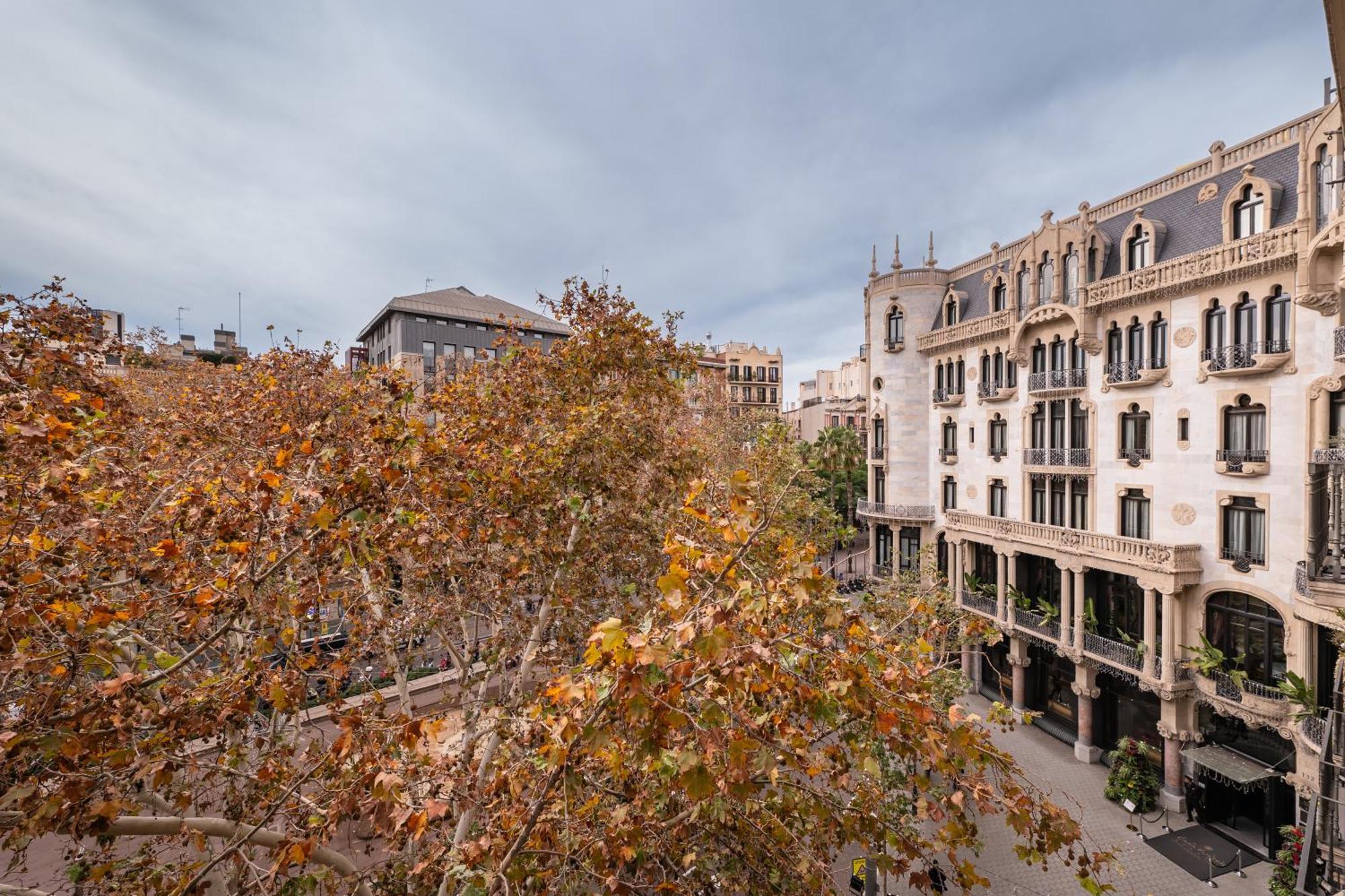 Sweett - Jardinets Lejlighed Barcelona Eksteriør billede